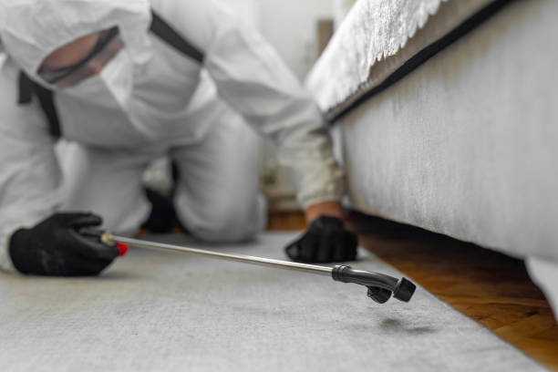 Professional Bed Bug Control technician working in Conyers, GA